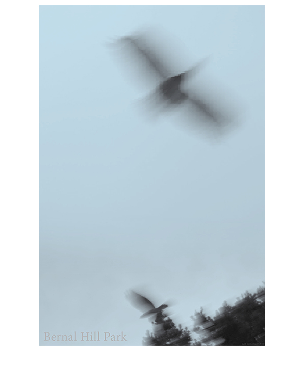 Bernal Hill Park is a special place.